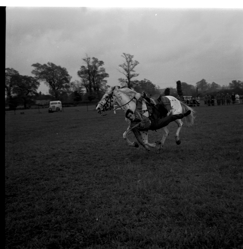 scan0002.jpg