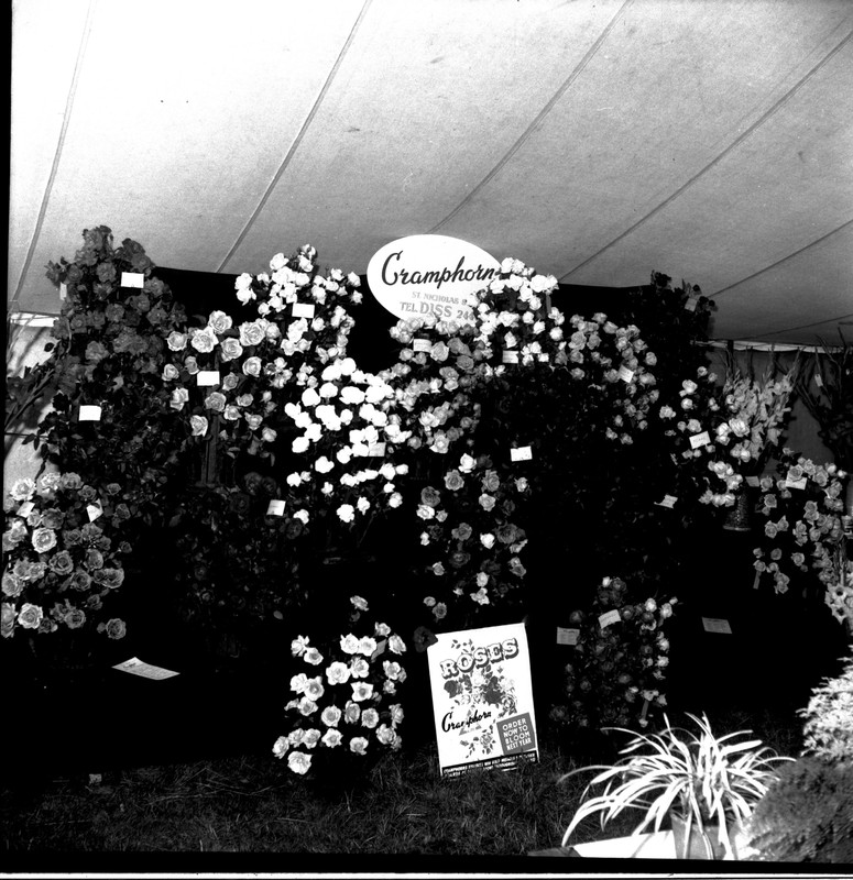 scan0001.jpg