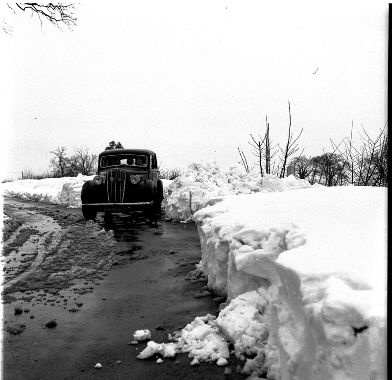 scan0003.jpg