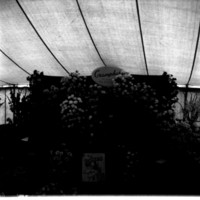 scan0002.jpg