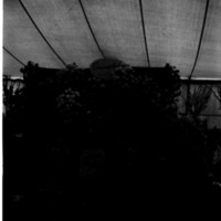 scan0005.jpg