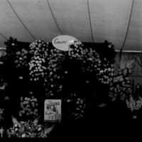 scan0006.jpg