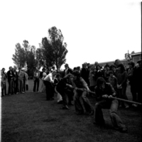 scan0010.jpg