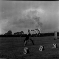 scan0002.jpg