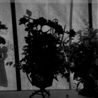 scan0005.jpg