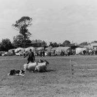 PICT0235.JPG