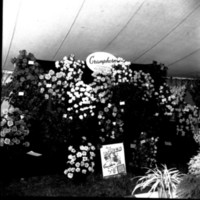 scan0001.jpg