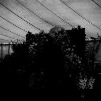 scan0004.jpg