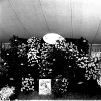 scan0003.jpg