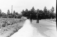 PICT0006.JPG