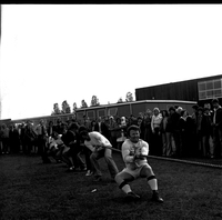 scan0006.jpg