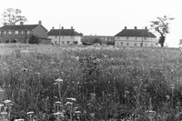PICT0003.JPG