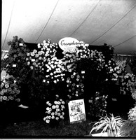 scan0001.jpg
