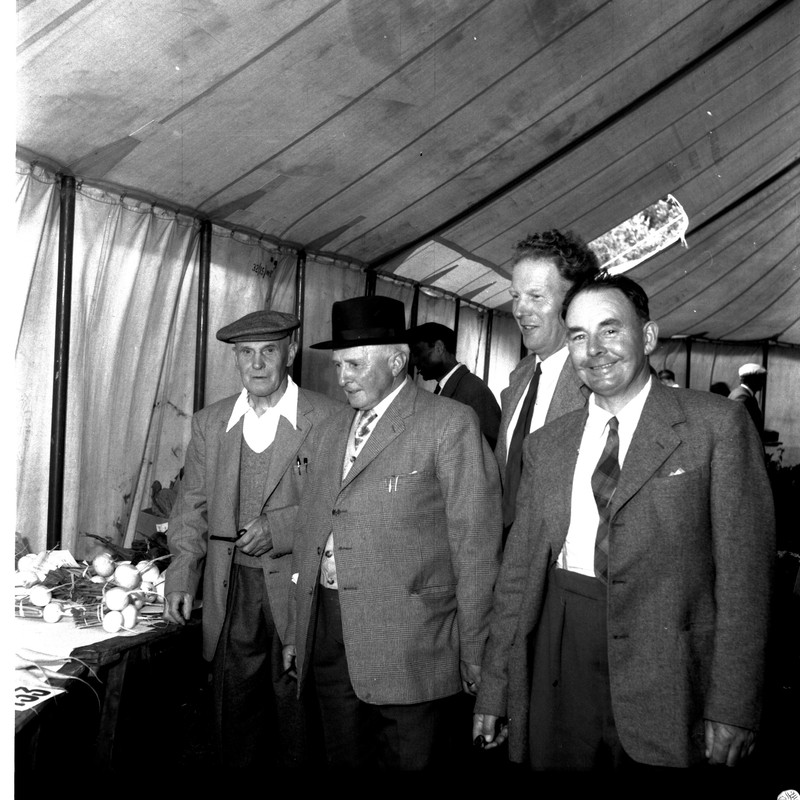 scan0012.jpg scan0012.jpg