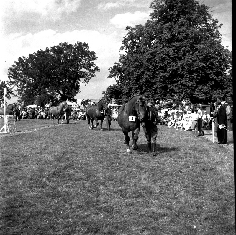 scan0035.jpg scan0035.jpg