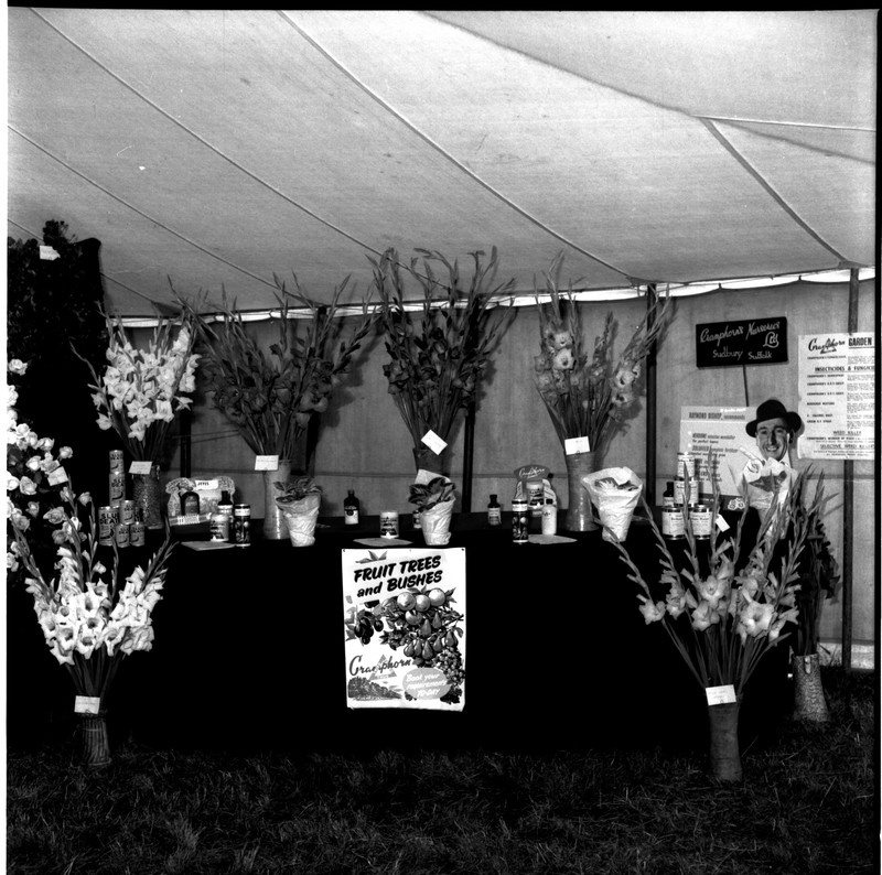 scan0008.jpg scan0008.jpg