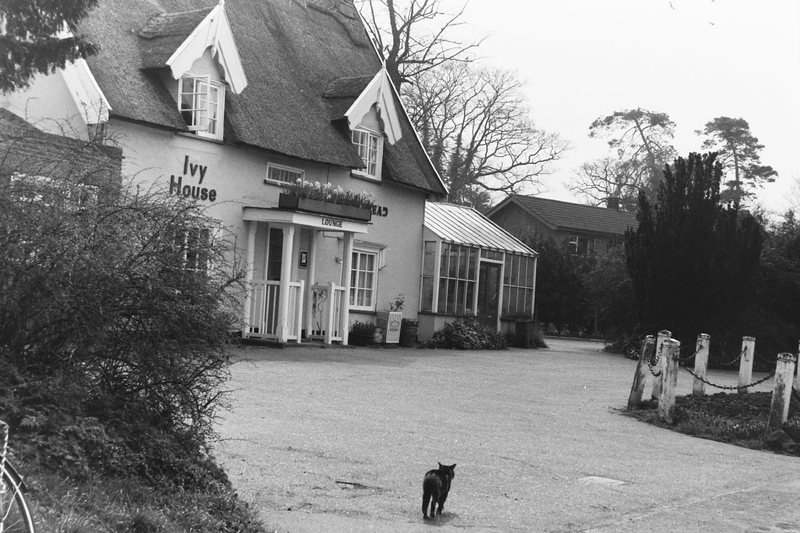 PICT0186.JPG PICT0186.JPG