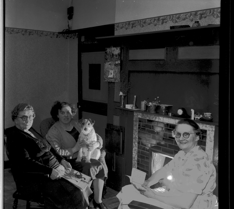 scan0002.jpg scan0002.jpg