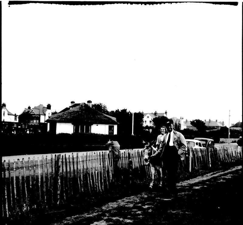 adjusted 2.jpg adjusted 2.jpg