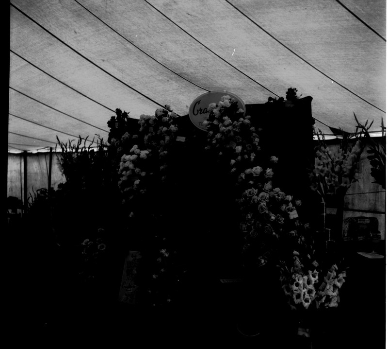scan0004.jpg scan0004.jpg