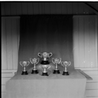 scan0003.jpg