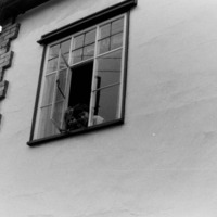 PICT0011.JPG