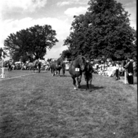 scan0035.jpg