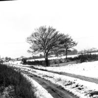 scan0023.jpg