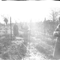 scan0026.jpg