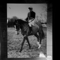 scan0005.jpg