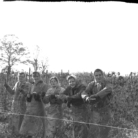 scan0020.jpg