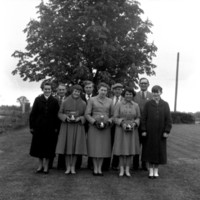 scan0003.jpg