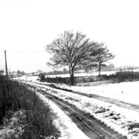 scan0020.jpg