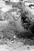 PICT0091.JPG