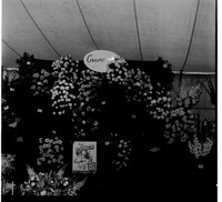 scan0006.jpg