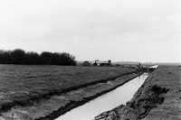 PICT0616.JPG