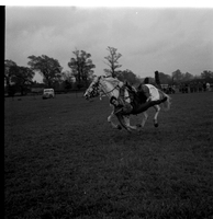scan0002.jpg