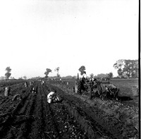 scan0002.jpg