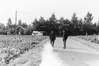 PICT0005.JPG