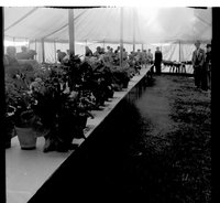 scan0009.jpg