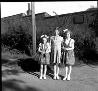 scan0006.jpg