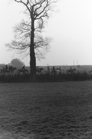 PICT0078.JPG