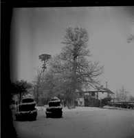 scan0001.jpg