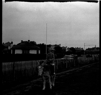 scan0007.jpg