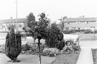 PICT0678.JPG