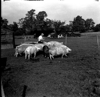 scan0048.jpg