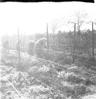 scan0025.jpg