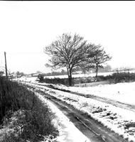 scan0020.jpg